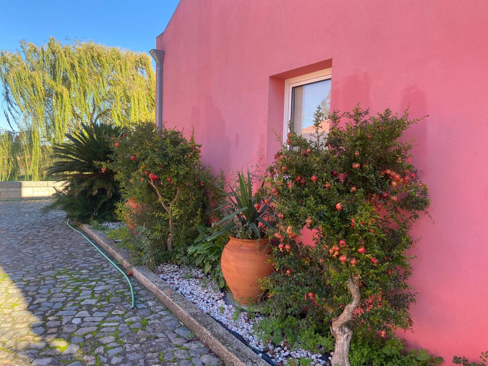 Casa Das Jardas Иданья-а-Нова Экстерьер фото